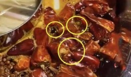 爆料西安火锅视频,一场视觉与味蕾的双重盛宴